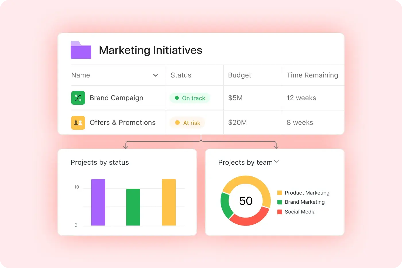 Asana project and programme management dashboard